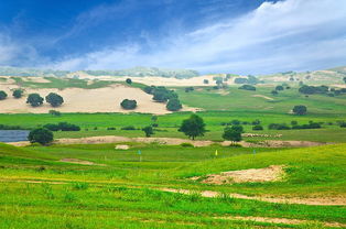 塔克拉玛干(塔克拉玛干沙漠有多大),第3张 塔克拉玛干(塔克拉玛干沙漠有多大),塔克拉玛干(塔克拉玛干沙漠有多大),第3张