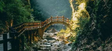 碧潭幽谷(07年南川金佛山碧潭幽谷),第1张 碧潭幽谷(07年南川金佛山碧潭幽谷),碧潭幽谷(07年南川金佛山碧潭幽谷),第1张