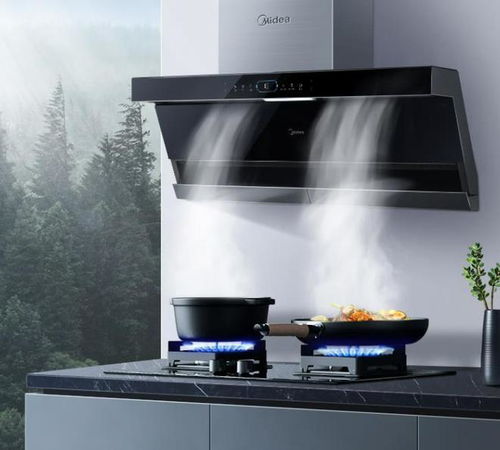 欧式油烟机(欧式油烟机安装高度的标准是多少),第3张 欧式油烟机(欧式油烟机安装高度的标准是多少),欧式油烟机(欧式油烟机安装高度的标准是多少),第3张