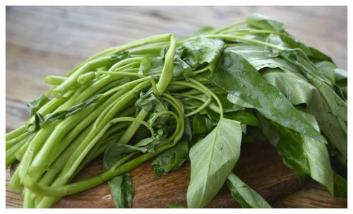 2岁半宝宝爱吃的菜谱(2岁半宝宝适合吃什么菜),第2张 2岁半宝宝爱吃的菜谱(2岁半宝宝适合吃什么菜),2岁半宝宝爱吃的菜谱(2岁半宝宝适合吃什么菜),第2张