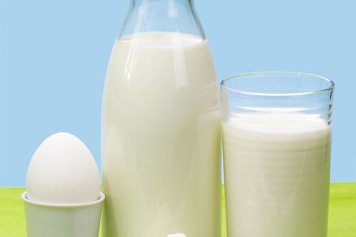 牛奶的英文（两杯牛奶的英文）,牛奶的英文（两杯牛奶的英文）,第2张