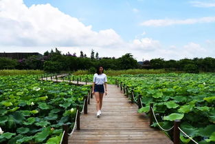 上海办公楼装修:如何选择最符合自己需求的洗衣机?,第1张 上海办公楼装修:如何选择最符合自己需求的洗衣机?,上海办公楼装修:如何选择最符合自己需求的洗衣机?,第1张