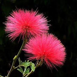 办公室装潢:让你的厨艺更上一层楼,掌握这些中式厨房调料就够了!,第1张 办公室装潢:让你的厨艺更上一层楼,掌握这些中式厨房调料就够了!,办公室装潢:让你的厨艺更上一层楼,掌握这些中式厨房调料就够了!,第1张