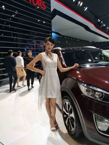 车模价格（车模价格高低取决于）,车模价格（车模价格高低取决于）,第1张