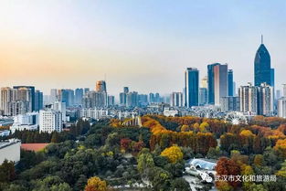 玉米碴子粥的做法(玉米碴子粥的做法放多少水),第1张 玉米碴子粥的做法(玉米碴子粥的做法放多少水),玉米碴子粥的做法(玉米碴子粥的做法放多少水),第1张