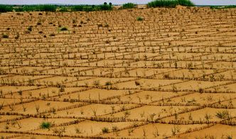 上海装修：中央金地与创园联手，打造智慧物业新标杆，实现物业管理数字化转型,上海装修：中央金地与创园联手，打造智慧物业新标杆，实现物业管理数字化转型,第1张