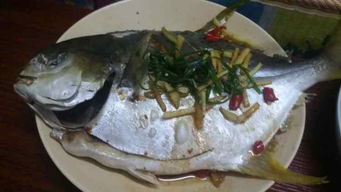 金枪鱼怎么做好吃视频(金枪鱼的做法家常做法),第3张 金枪鱼怎么做好吃视频(金枪鱼的做法家常做法),金枪鱼怎么做好吃视频(金枪鱼的做法家常做法),第3张