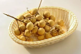 桂圆肉怎么吃最好(三种人坚决不能吃桂圆干),第2张 桂圆肉怎么吃最好(三种人坚决不能吃桂圆干),桂圆肉怎么吃最好(三种人坚决不能吃桂圆干),第2张