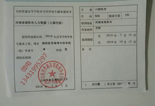 留学生没有就业报到证能进事业单位吗（留学生没有就业报到证能进事业单位吗）,留学生没有就业报到证能进事业单位吗（留学生没有就业报到证能进事业单位吗）,第2张