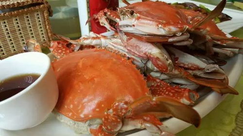 梭子蟹怎么做好吃又简单方便(梭子蟹制作方法),第3张 梭子蟹怎么做好吃又简单方便(梭子蟹制作方法),梭子蟹怎么做好吃又简单方便(梭子蟹制作方法),第3张