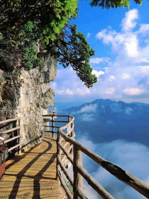 安康旅游景点大全景点排名榜（安康旅游必去景点推荐）,安康旅游景点大全景点排名榜（安康旅游必去景点推荐）,第3张