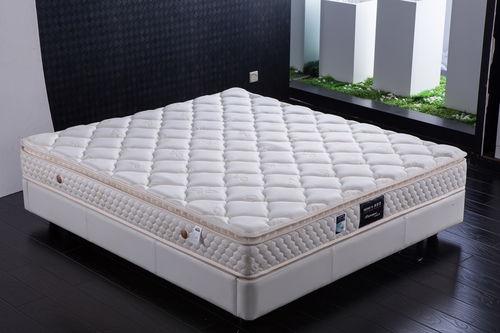 兰博基尼拖拉机（兰博基尼拖拉机R8）,兰博基尼拖拉机（兰博基尼拖拉机R8）,第2张