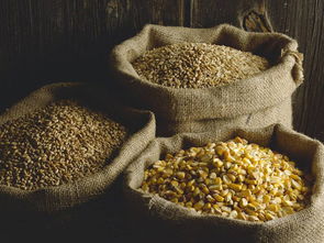 血糖高的人吃什么主食最好（血糖高的人吃什么主食最好血）,血糖高的人吃什么主食最好（血糖高的人吃什么主食最好血）,第1张