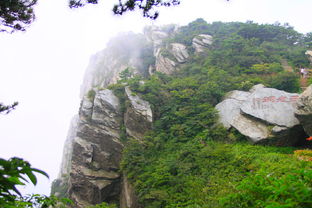 庐山旅游攻略一日游路线图(庐山旅游攻略一日游路线图片),第2张 庐山旅游攻略一日游路线图(庐山旅游攻略一日游路线图片),庐山旅游攻略一日游路线图(庐山旅游攻略一日游路线图片),第2张