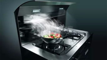 奥田集成灶(奥田集成灶质量怎么样),第3张 奥田集成灶(奥田集成灶质量怎么样),奥田集成灶(奥田集成灶质量怎么样),第3张