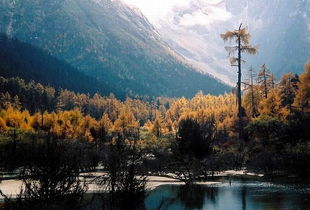 米亚罗自驾游攻略（米亚罗旅游景点大全）,米亚罗自驾游攻略（米亚罗旅游景点大全）,第1张