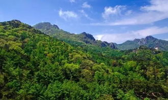 山东旅游景点大全排名一日游(山东旅游景点大全景点排名),第2张 山东旅游景点大全排名一日游(山东旅游景点大全景点排名),山东旅游景点大全排名一日游(山东旅游景点大全景点排名),第2张