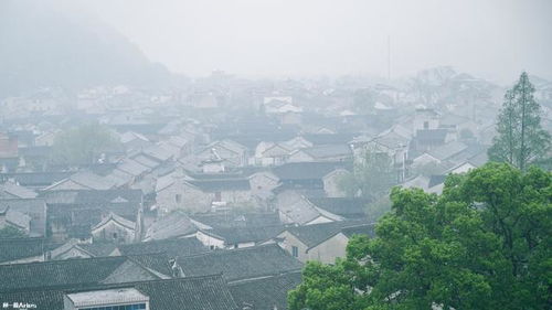 广州25个免费游玩景点(广卅一日游去哪玩好),第2张 广州25个免费游玩景点(广卅一日游去哪玩好),广州25个免费游玩景点(广卅一日游去哪玩好),第2张