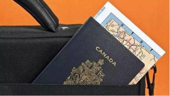 大众辉腾（大众辉腾为什么停产）,大众辉腾（大众辉腾为什么停产）,第2张