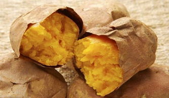 上海车辆违章查询网(上海车辆违章查询网官方),第3张 上海车辆违章查询网(上海车辆违章查询网官方),上海车辆违章查询网(上海车辆违章查询网官方),第3张