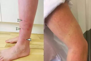 广东菜式菜谱大全(广东菜式菜谱大全视频),第2张 广东菜式菜谱大全(广东菜式菜谱大全视频),广东菜式菜谱大全(广东菜式菜谱大全视频),第2张