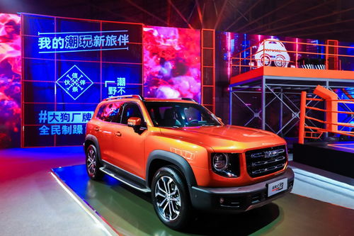 长城大狗(长城大狗价格一览表2023),第2张 长城大狗(长城大狗价格一览表2023),长城大狗(长城大狗价格一览表2023),第2张