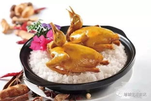 低速车锂电池（低速车锂电池排名）,低速车锂电池（低速车锂电池排名）,第2张