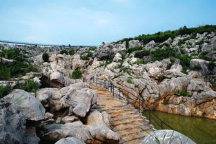 包菜怎么凉拌好吃(包菜怎么凉拌好吃又简单视频),第3张 包菜怎么凉拌好吃(包菜怎么凉拌好吃又简单视频),包菜怎么凉拌好吃(包菜怎么凉拌好吃又简单视频),第3张