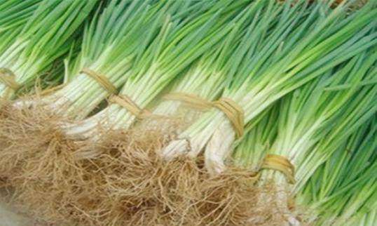 装修报价:探究机械式温度计的构造及测温原理,第2张 装修报价:探究机械式温度计的构造及测温原理,装修报价:探究机械式温度计的构造及测温原理,第2张