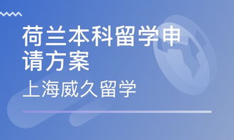 留学生求职中介签约注意事项和流程（签约留学中介需要注意的问题）,留学生求职中介签约注意事项和流程（签约留学中介需要注意的问题）,第3张