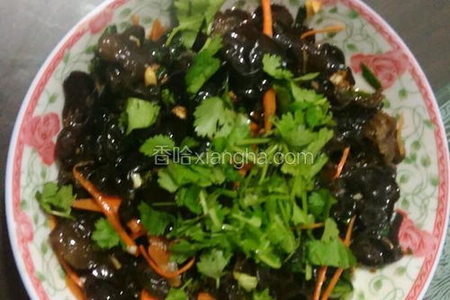 凉拌木耳的做法(凉拌木耳的做法 最正宗的做法),第3张 凉拌木耳的做法(凉拌木耳的做法 最正宗的做法),凉拌木耳的做法(凉拌木耳的做法 最正宗的做法),第3张