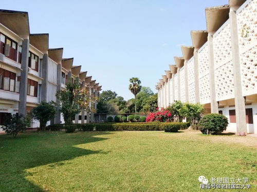 中国大学留学生宿舍价格(老挝国立大学留学生宿舍),第1张 中国大学留学生宿舍价格(老挝国立大学留学生宿舍),中国大学留学生宿舍价格(老挝国立大学留学生宿舍),第1张