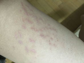 徐汇办公楼:电压力锅的不可错过的炖肉之道,第2张 徐汇办公楼:电压力锅的不可错过的炖肉之道,徐汇办公楼:电压力锅的不可错过的炖肉之道,第2张