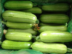 西葫芦配什么炒好吃(西葫芦配什么炒好吃?),第3张 西葫芦配什么炒好吃(西葫芦配什么炒好吃?),西葫芦配什么炒好吃(西葫芦配什么炒好吃?),第3张