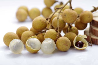 石家庄装修材料(石家庄装修材料批发市场),第2张 石家庄装修材料(石家庄装修材料批发市场),石家庄装修材料(石家庄装修材料批发市场),第2张