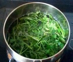 腌制的香椿芽怎么吃怎么食用(腌的香椿芽怎么调),第3张 腌制的香椿芽怎么吃怎么食用(腌的香椿芽怎么调),腌制的香椿芽怎么吃怎么食用(腌的香椿芽怎么调),第3张