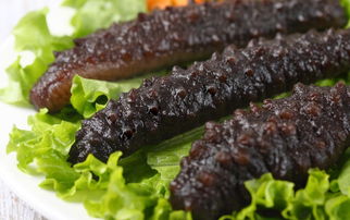 家庭发海参的正确方法（海参家庭最简单做法）,家庭发海参的正确方法（海参家庭最简单做法）,第1张