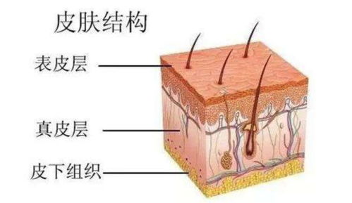 绅宝cc(北汽绅宝cc),第3张 绅宝cc(北汽绅宝cc),绅宝cc(北汽绅宝cc),第3张