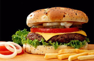 汉堡王加盟的简单介绍,第2张 汉堡王加盟的简单介绍,汉堡王加盟的简单介绍,第2张