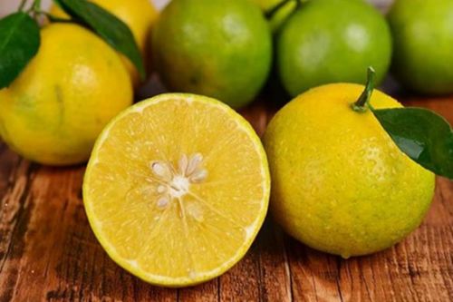 脐橙上火吗(脐橙是不是上火),第3张 脐橙上火吗(脐橙是不是上火),脐橙上火吗(脐橙是不是上火),第3张