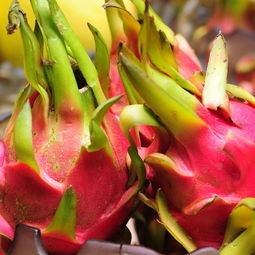 大发特锐（大发特锐改装案例）,大发特锐（大发特锐改装案例）,第3张