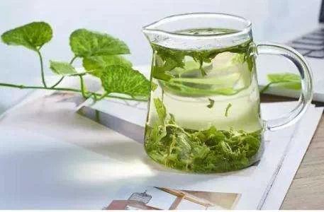 上海办公装修设计:如何养护滴水观音才能让它长得更健康?,第2张 上海办公装修设计:如何养护滴水观音才能让它长得更健康?,上海办公装修设计:如何养护滴水观音才能让它长得更健康?,第2张