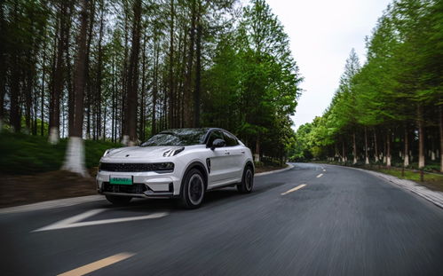 领克05(领克05加油92还是95),第3张 领克05(领克05加油92还是95),领克05(领克05加油92还是95),第3张