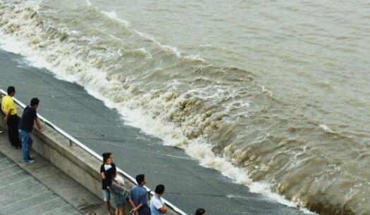 钱塘江观潮3个出色的卓越的优异的杰出的地点(钱塘江观潮3个出色的卓越的优异的杰出的时间点),第2张 钱塘江观潮3个出色的卓越的优异的杰出的地点(钱塘江观潮3个出色的卓越的优异的杰出的时间点),钱塘江观潮3个出色的卓越的优异的杰出的地点(钱塘江观潮3个出色的卓越的优异的杰出的时间点),第2张