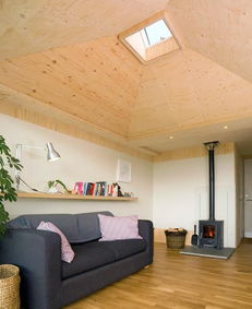 复式斜顶装修(复式斜顶装修效果图片),第2张 复式斜顶装修(复式斜顶装修效果图片),复式斜顶装修(复式斜顶装修效果图片),第2张