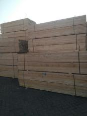 办公楼装饰：如何让君子兰焕发青春？——君子兰叶子黄的解决方法,办公楼装饰：如何让君子兰焕发青春？——君子兰叶子黄的解决方法,第2张