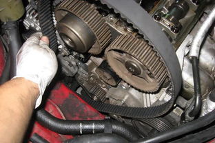 08polo(08polo正时皮带还是链条),第1张 08polo(08polo正时皮带还是链条),08polo(08polo正时皮带还是链条),第1张