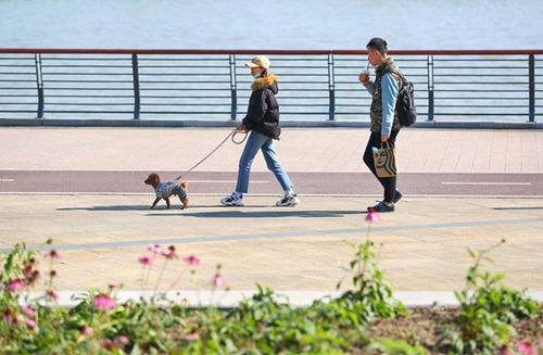 上海带小孩玩的地方推荐（上海带小孩出去玩的地方）,上海带小孩玩的地方推荐（上海带小孩出去玩的地方）,第1张