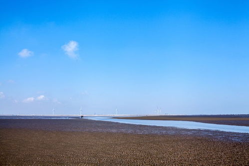 上海厂房装潢:松下洗碗机:打造智慧家居新时代,第2张 上海厂房装潢:松下洗碗机:打造智慧家居新时代,上海厂房装潢:松下洗碗机:打造智慧家居新时代,第2张