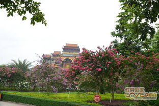 仙村紫薇公园(仙村紫薇公园做餐饮可以吗),第1张 仙村紫薇公园(仙村紫薇公园做餐饮可以吗),仙村紫薇公园(仙村紫薇公园做餐饮可以吗),第1张